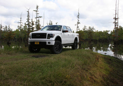SuperLift Ford F150 2009-2014 4.5"