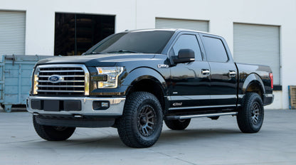 Pro-Truck Coilover System 2.0 (Front Coilovers + Rear Shocks ) FORD F150 14+