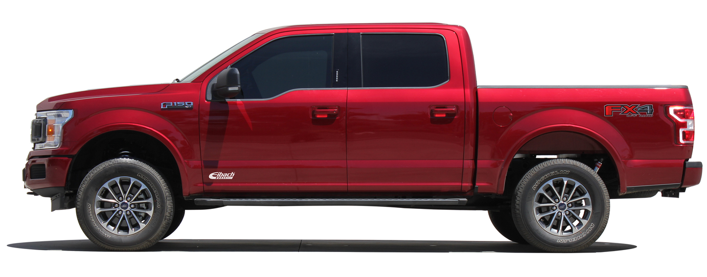 Pro-Truck Coilover System 2.0 (Front Coilovers + Rear Shocks ) FORD F150 14+